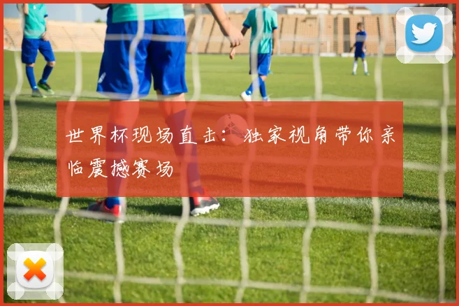 世界杯现场直击:独家视角带你亲临震撼赛场
