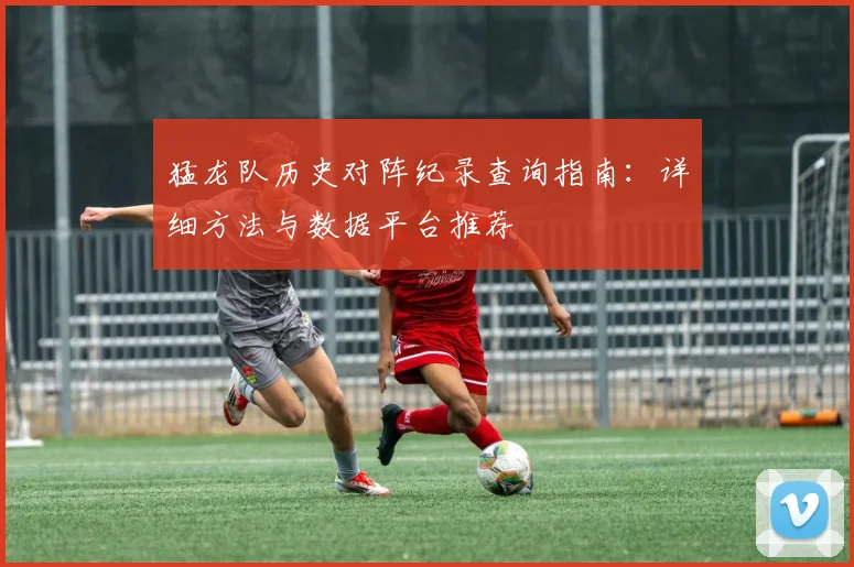 猛龙队历史对阵纪录查询指南:详细方法与数据平台推荐